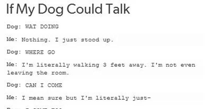 if my dog could talk